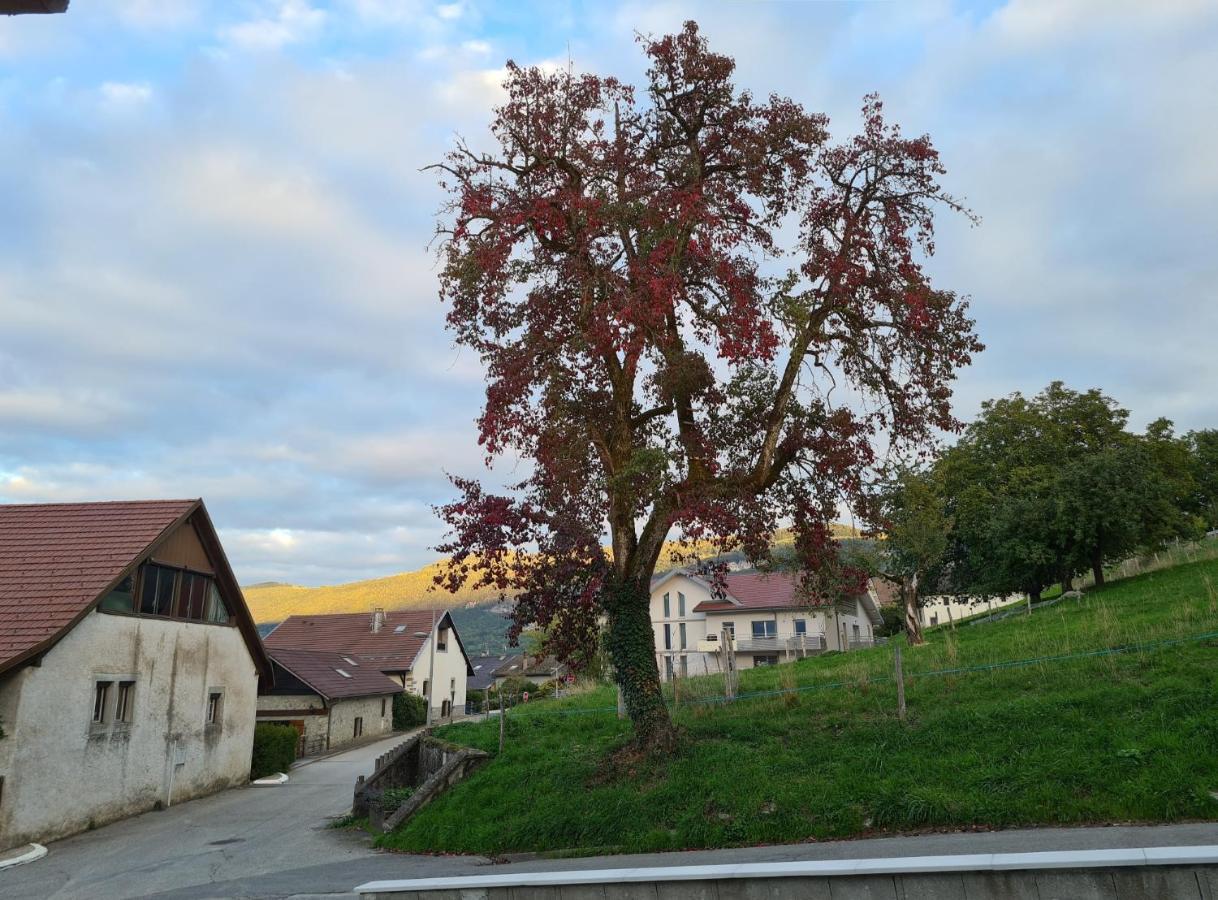 Ferme De La Gibussiere Apartman Presilly  Kültér fotó